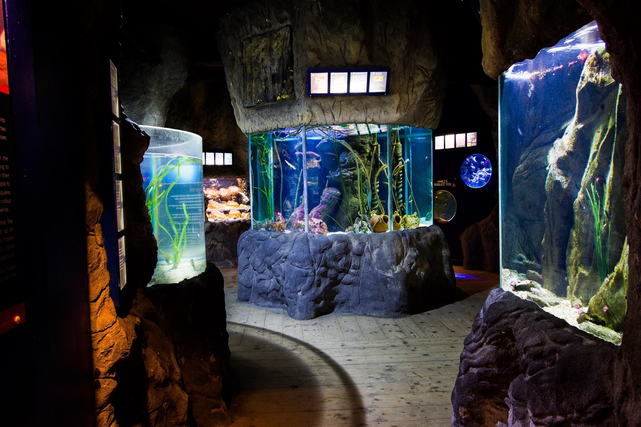 Blue Reef Aquarium Newquay