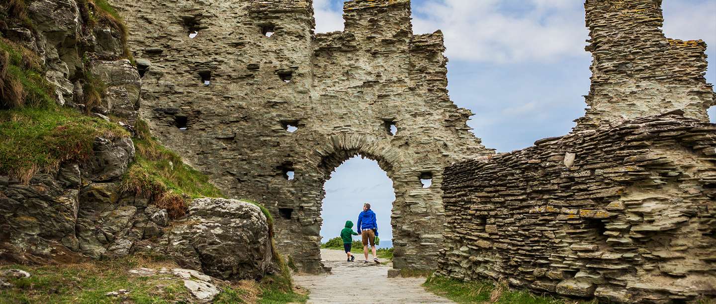 Tintagel kennels deals